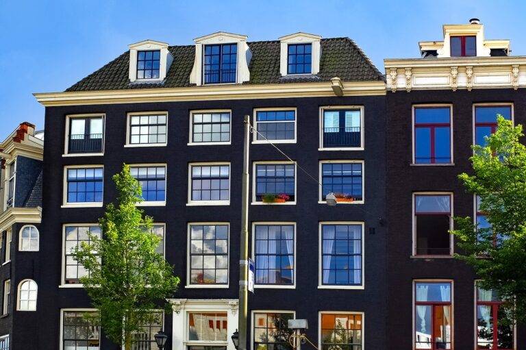 The Rise of Biophilic Design in Home Interiors: Bringing Nature Indoors