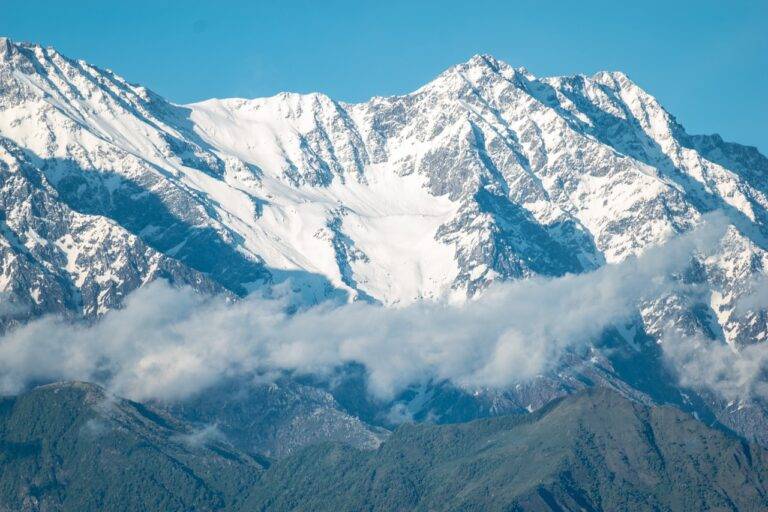 Youth Political Activism: Amplifying Voices in Election Campaigns