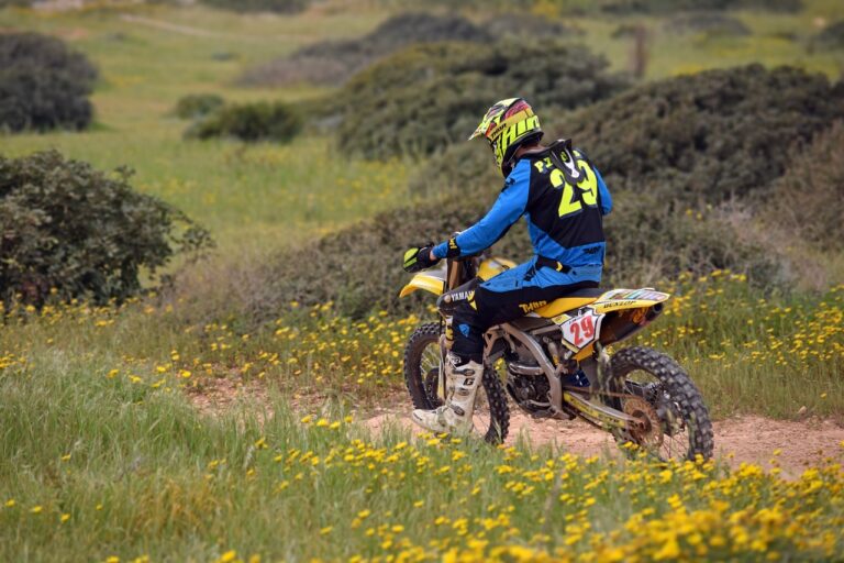 Exploring New Cricket Formats and Their Potential