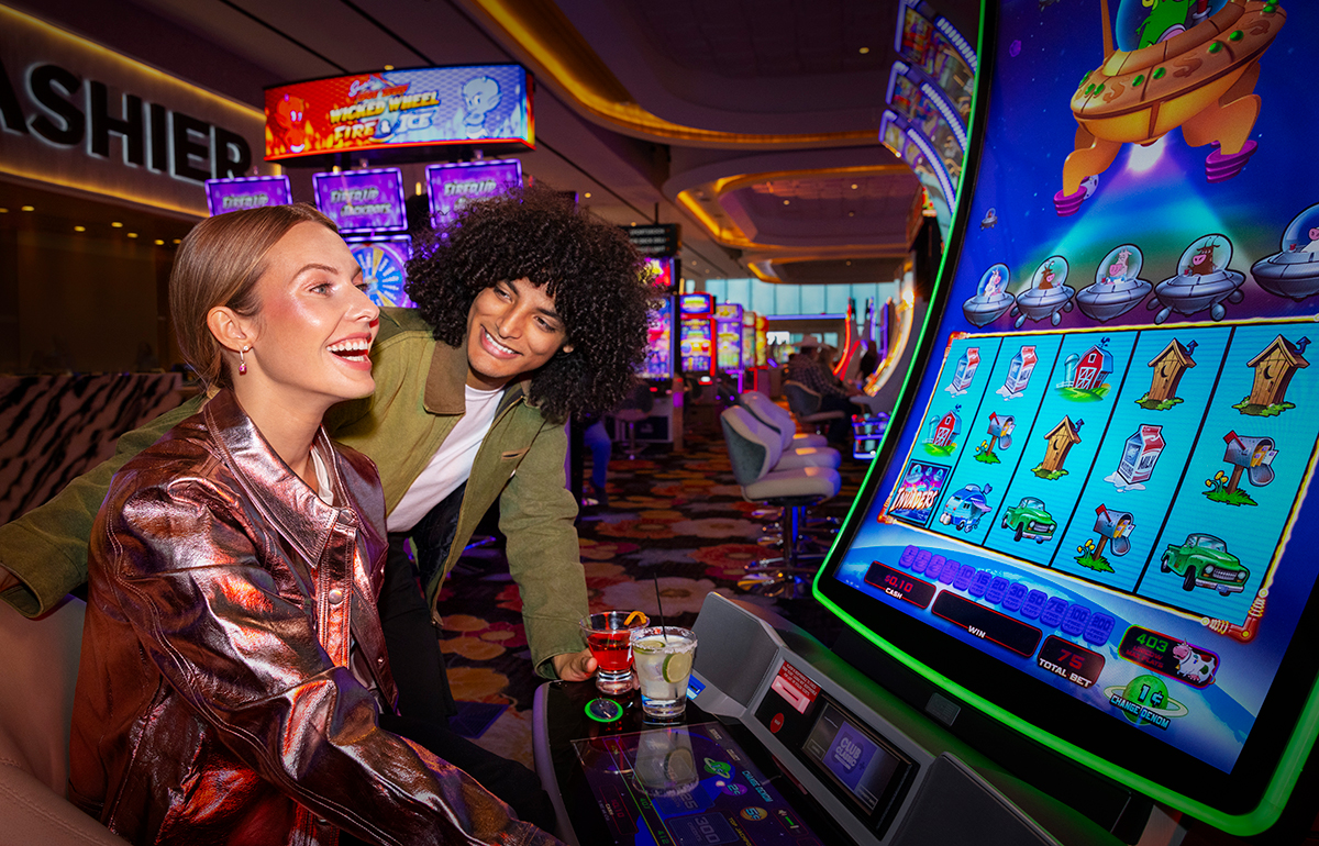 BetBhai9, BetBhai9 ID: 