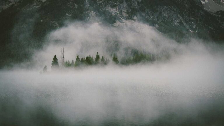 How To Sign Up Online With 99 Exchange In India?