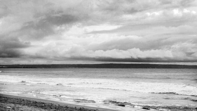 How To Log In To Cricbet99 Club Win Live Platform?